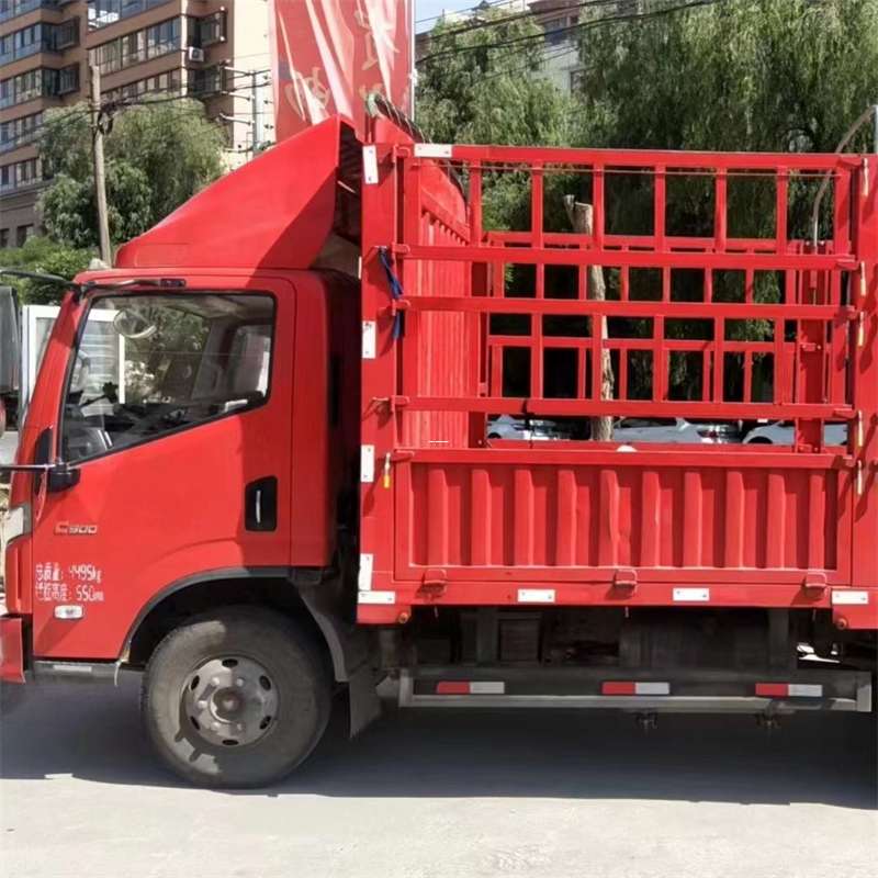 巴南区罗湖区物流：多元运输服务与线路探秘