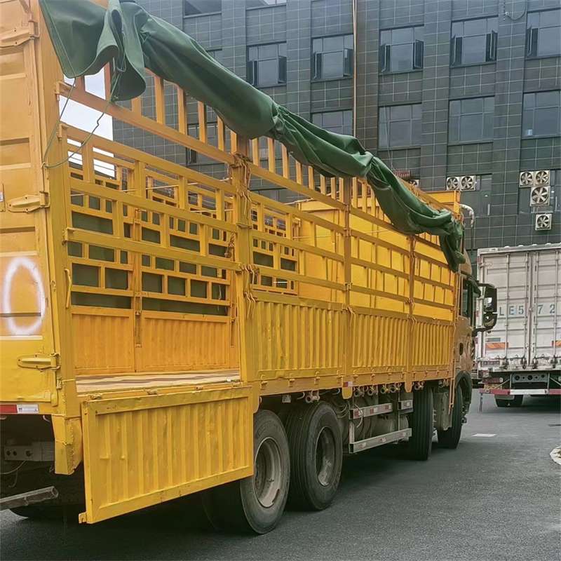 巴南区吉安市物流：多元服务与高效运输线路探秘