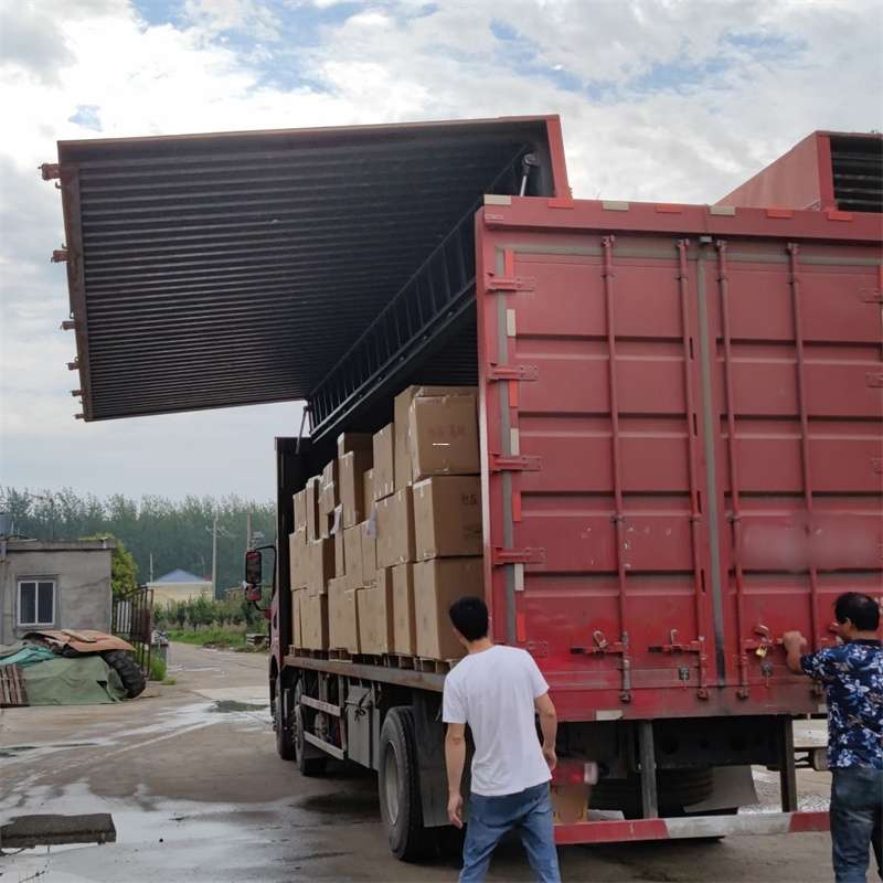 巴南区扎囊县：物流专线的高效货运之旅